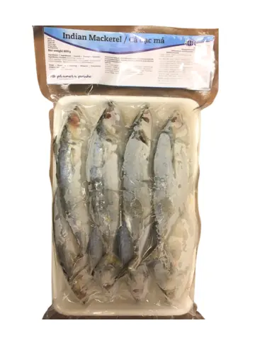 PLANETS PRIDE  Indian Mackerel 800g | PP 印度鲭鱼800g 