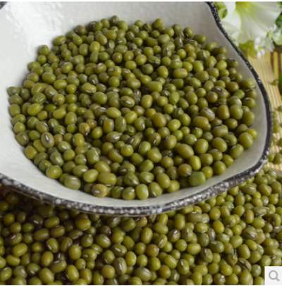 Green Bean/Mung Bean Sproutable 25kg | 可发芽绿豆 25kg