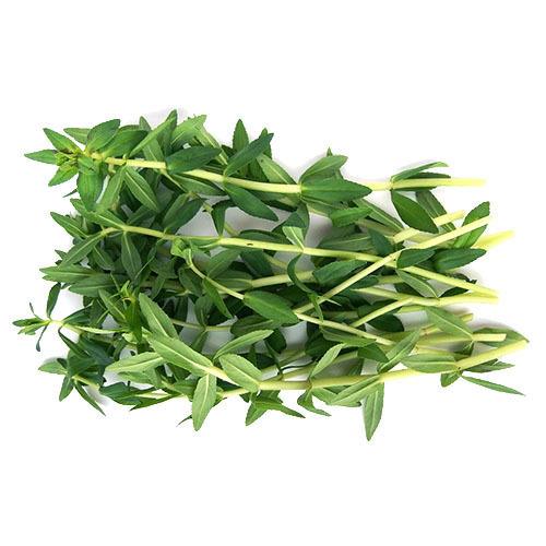 TH Limnophila aromatica / Finger Grass 100g /PKT | 新鲜 手指草 100g