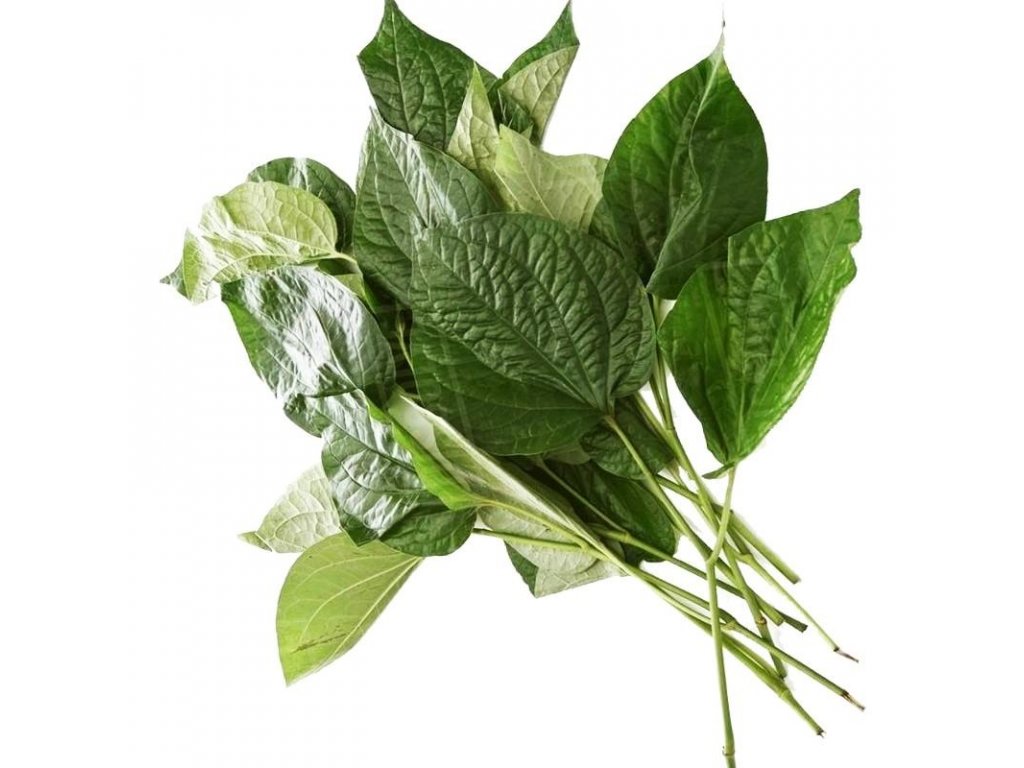 新鲜 泰国 山蒌叶 100g/包 | Fresh Thailand Wild Betel Leaf 100g/PKT