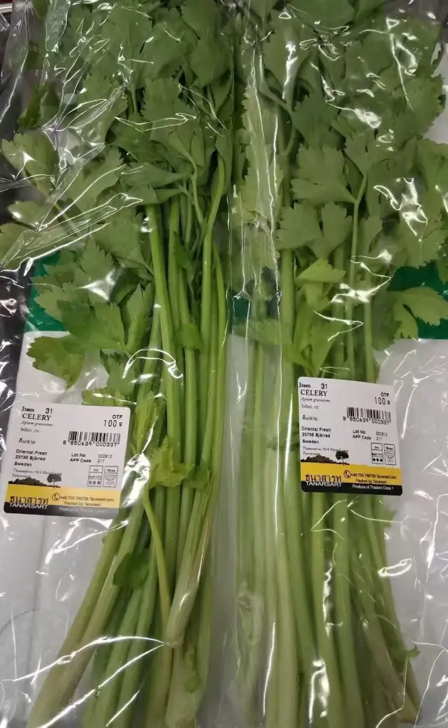 Tuore Thaimaasta Selleri 100g/PKT