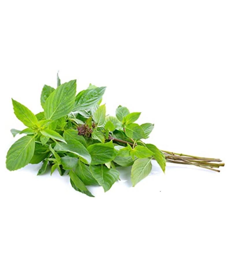 Fresh Thailand Sweet Basil 100g/PKT | 新鲜 泰国 甜罗勒 100g/包