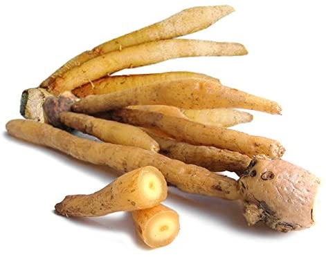 Fresh Thailand Kaempfer 100g/PKT | 新鲜 泰国 凹唇姜 100g/包