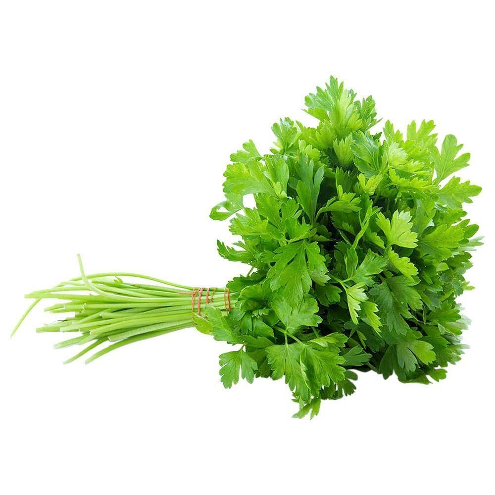 Fresh Coriander 1 Bunch | 新鲜 香菜 1把