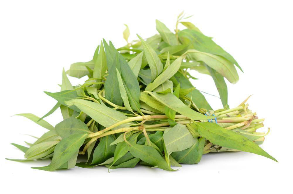 TH 香荚兰 100g | TH Pak Khaeyang/ Vietnamese coriander 100g/pkt 