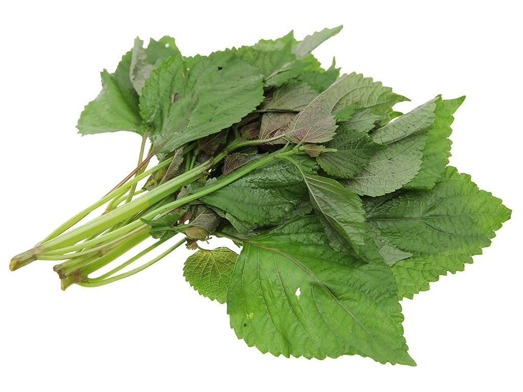 新鲜 泰国 紫苏 100g/包 | Fresh Thailand Perilla 100g/PKT