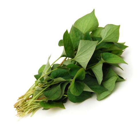 新鲜 泰国 鱼腥草 100g/包 | Fresh Thailand Fish Mint (Plu Kaow) 100g/PKT