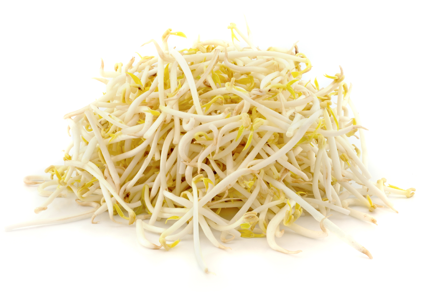 Fresh Ituja/Bean Sprouts 1kg/PKT | 新鲜 绿豆芽 1kg/包