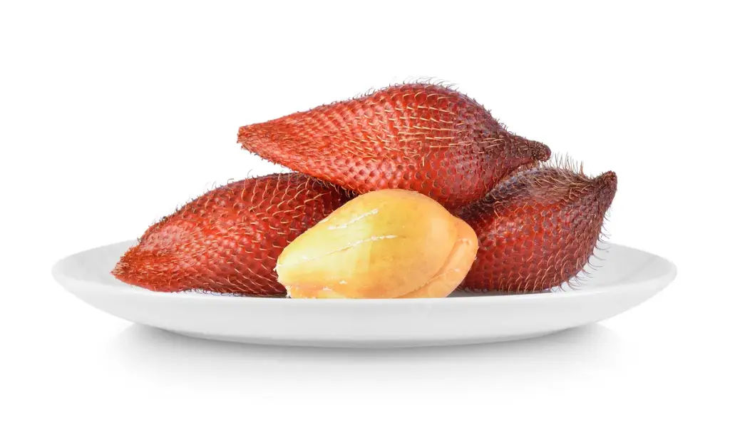 Salak 500g/box | 蛇皮果 500g/盒