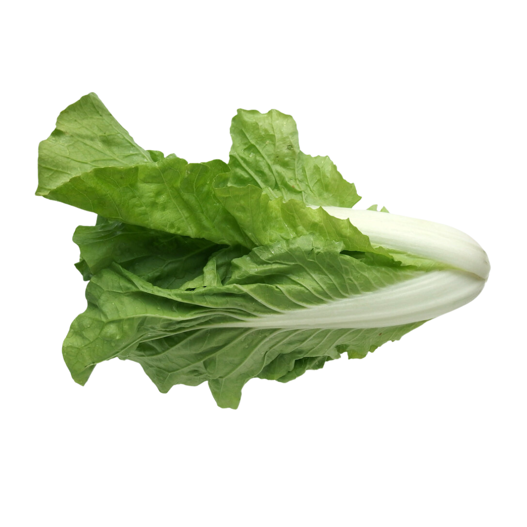 Royal Cabbage /kg