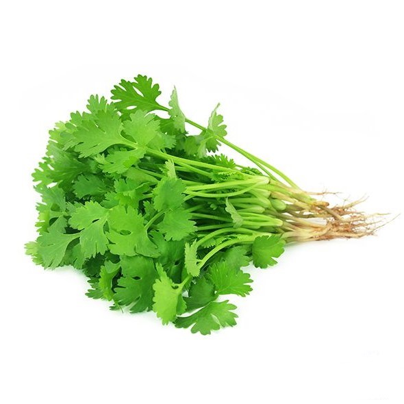 新鲜 香菜 1kg | Fresh Coriander 1kg