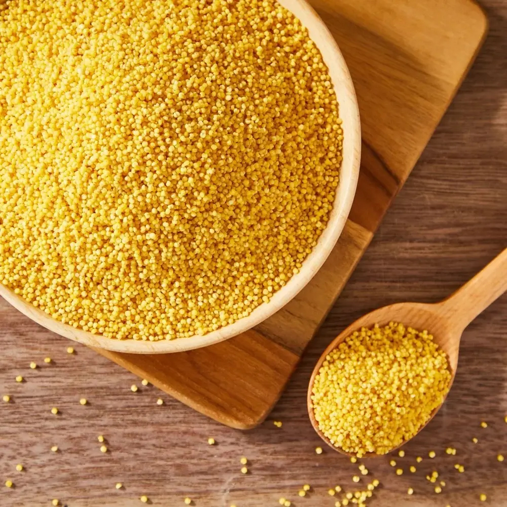 新鲜 小米 5KG | Fresh Millet 5KG