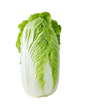 中国大白菜 整箱 10 kg | Chinese Cabbage 10 kg/ctn