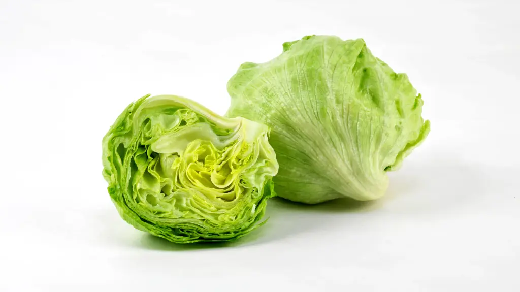 新鲜 沙拉生菜 1kg | Fresh Iceberg Lettuce/Green Salad 1kg