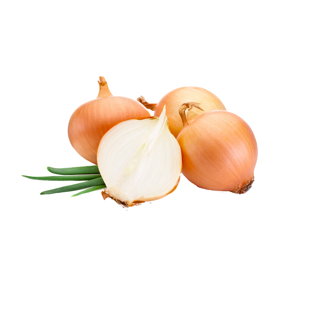 Tuore Keltainen Sipuli 10kg/LTK