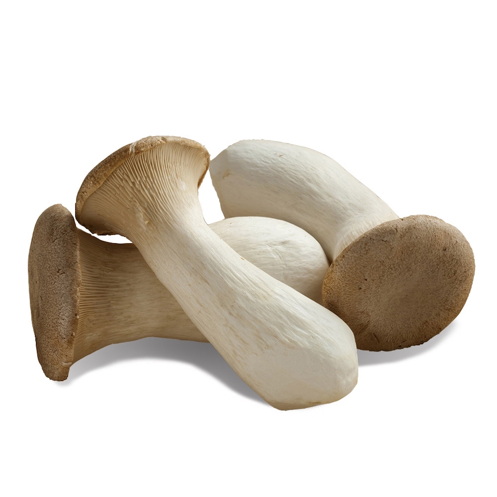 新鲜 盒装 杏鲍菇 200g/盒 | Fresh King Oyster Mushroom/Eringii 200g/PKT