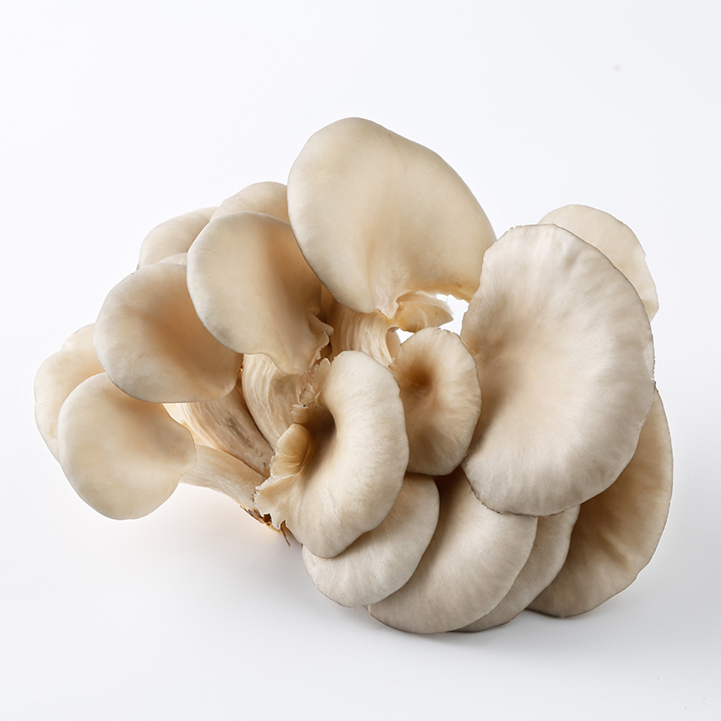 Fresh Oyster Mushroom 200g/PKT | 新鲜 盒装 平菇 200g/盒