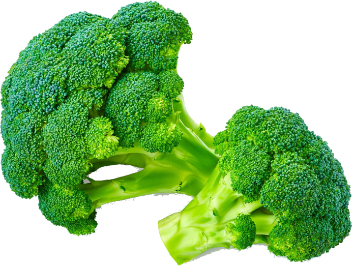 Fresh Broccoli 8kg/CTN | 新鲜 西兰花 整箱 8kg