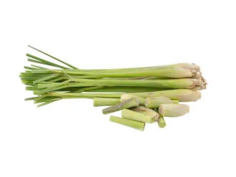 Fresh Lemon grass (ground) 1kg | 新鲜 香茅段 1kg
