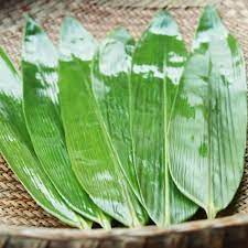 Tuoreet bambunlehdet, vakuumipakattu 150g