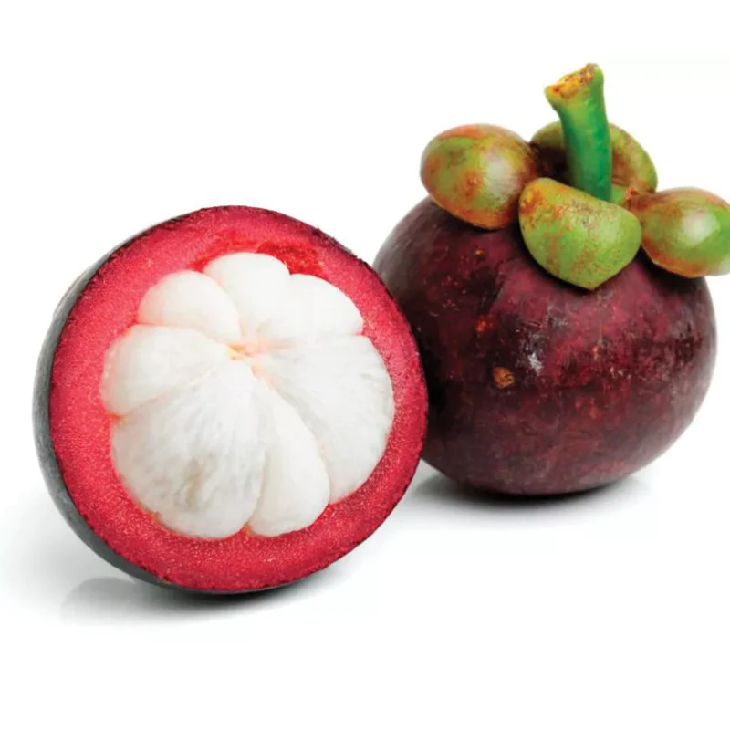 山竹 500g/盒 | Mangosteen 500g