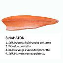 TUO 新鲜 三文鱼(C2无皮无刺) 1kg | TUO Salmon C2 skinless without pinbone 1kg