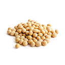 大包黄豆 30kg | Soyabean 30kg