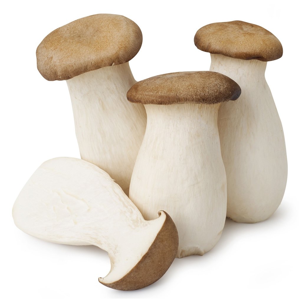 Tuore Kuningasosterivinokas 1kg