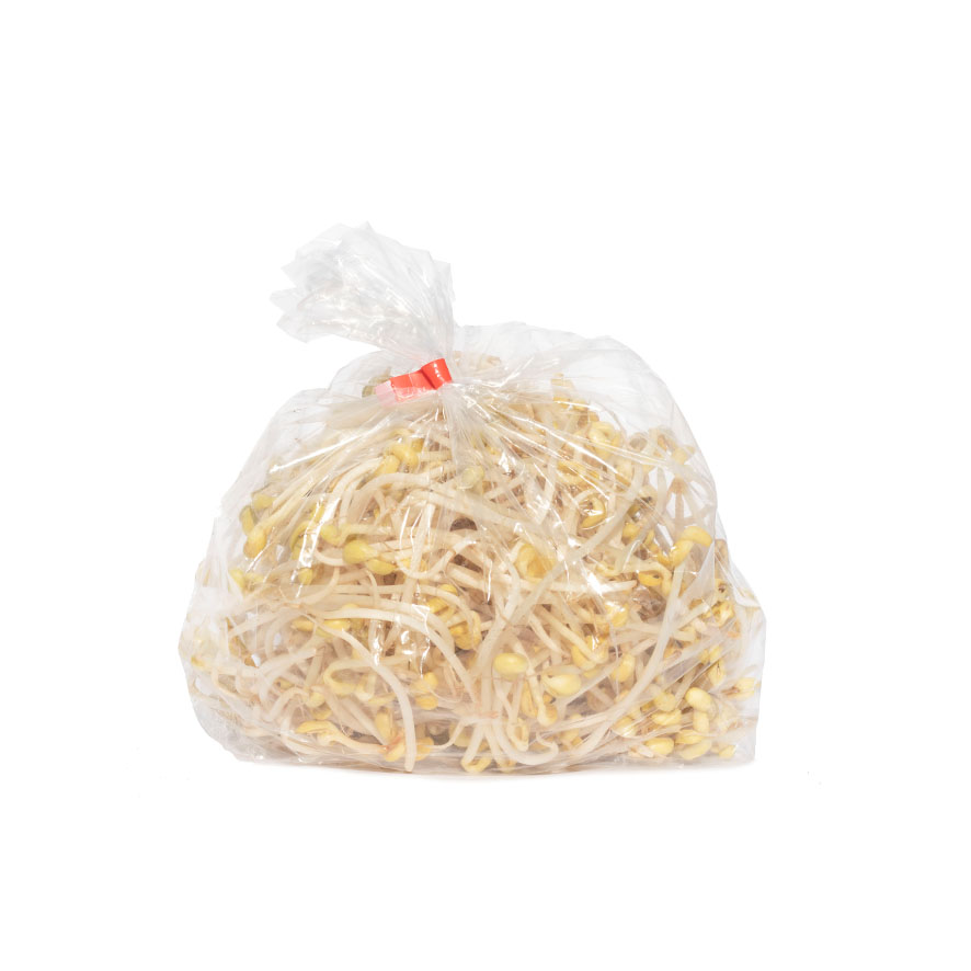 新鲜 黄豆芽 450g/bag | Taugee Yellow bean sprouts 450g/bag