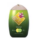 椰子水 (椰子型) 310ml | PEARL ROYAL Coconut Water (Shape) 310ml