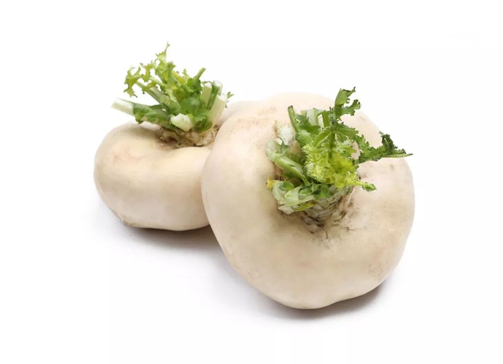 新鲜 芜菁/盘菜 1kg | Turnip 1kg