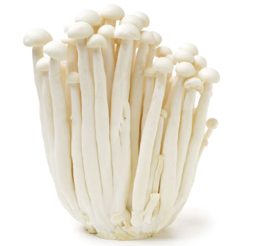  新鲜 白雪菇 150g| Snow beech mushroom / shimeji 150g