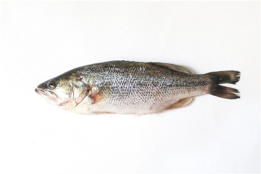 Seabass /kg Gross Weight by weight | 海鲈鱼 /kg 含冰 毛重 称重