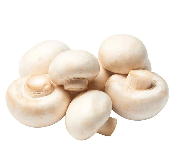 新鲜口蘑 1kg | Fresh Champignon Mushroom 1kg