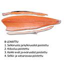 Salmon B Skin on bone on 1kg | 新鲜 三文鱼(B带皮带刺) 1kg