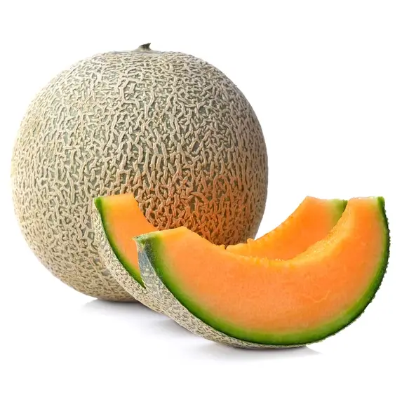 Fresh Cantaloupe Melon 15kg/CTN | 新鲜 青皮网纹哈密瓜 整箱 15kg