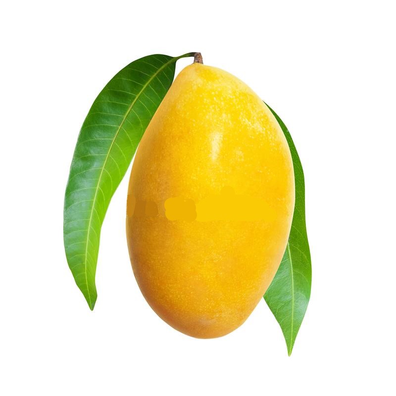 Tuore Thaimaasta Kultamangot 1 kg