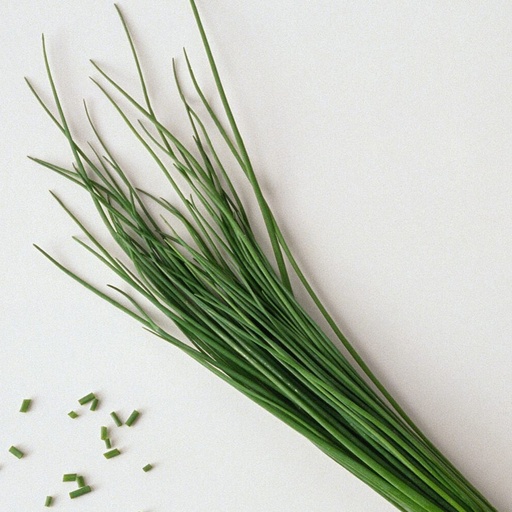 Fresh French Chives 100g/PKT | 新鲜 寿司细葱 100g/包