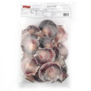 Scallop with half shell 20-30 750g | 扇贝(半壳) 20-30 750g
