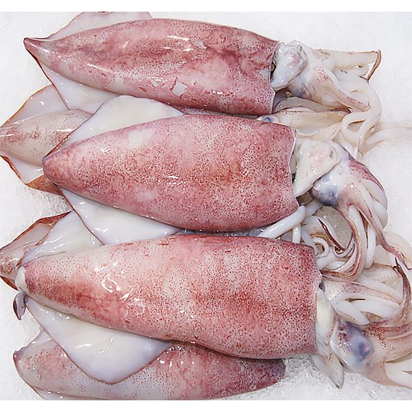Star Pride Whole Squid 3/6 AAA net 1.8kg | Star Pride 整条鱿鱼 3/6 AAA 净重1.8kg