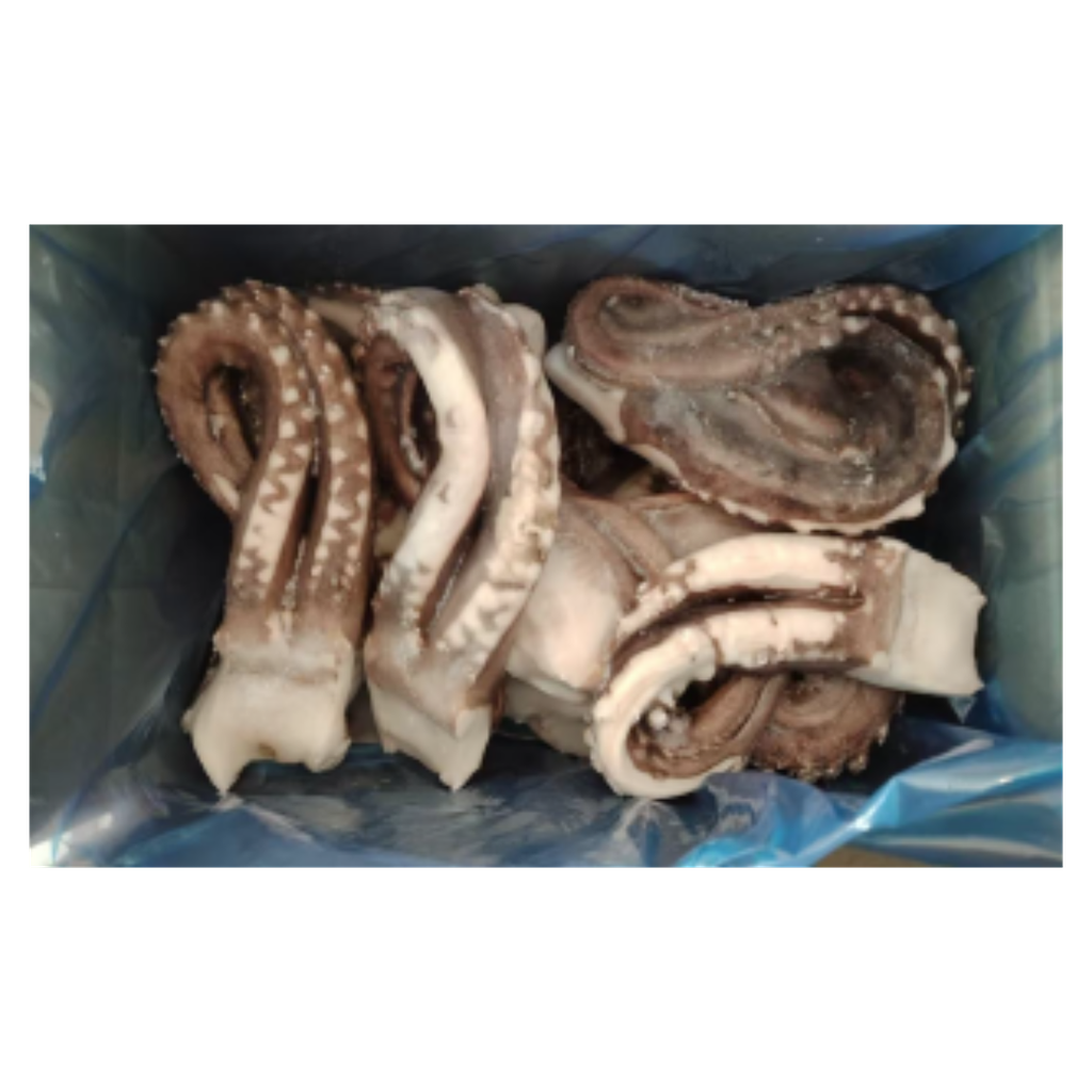 GC Frozen Large Squid Tentacles (DOSIDICUS GIGAS) 6.3kg | 佳禾 冷冻大鱿鱼须 6.3kg/箱