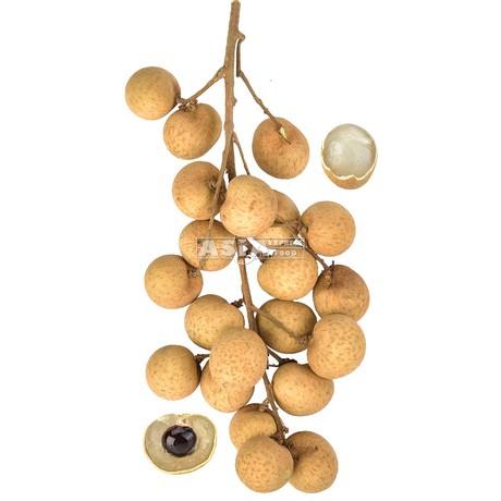 新鲜龙眼 500g/unit | Fresh Longan 500g/unit