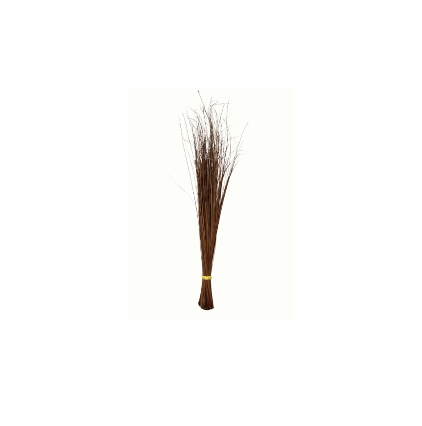 TINGTING Sweeping Broom Walls Tingting /pc | TINGTING牌 硬扫帚 /个
