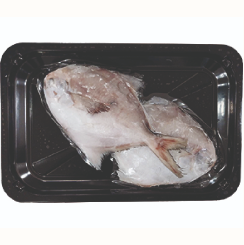 Frozen Silver Pomfret 150-200/ pcs /kg Gross Weight By Weight  | 冷冻 银鲳鱼 150-200g / pcs /kg 含冰 毛重 称重