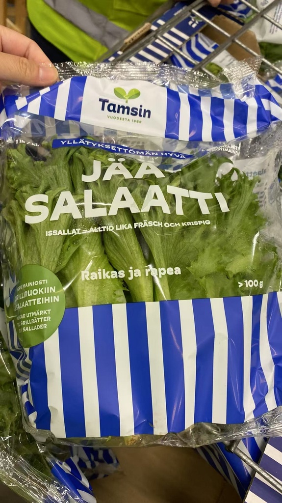 新鲜 包卷生菜 100g | Fresh Jääsalaatti 100g