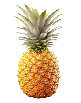 Fresh Pineapple 10kg/CTN | 新鲜 菠萝 整箱 10kg/CTN