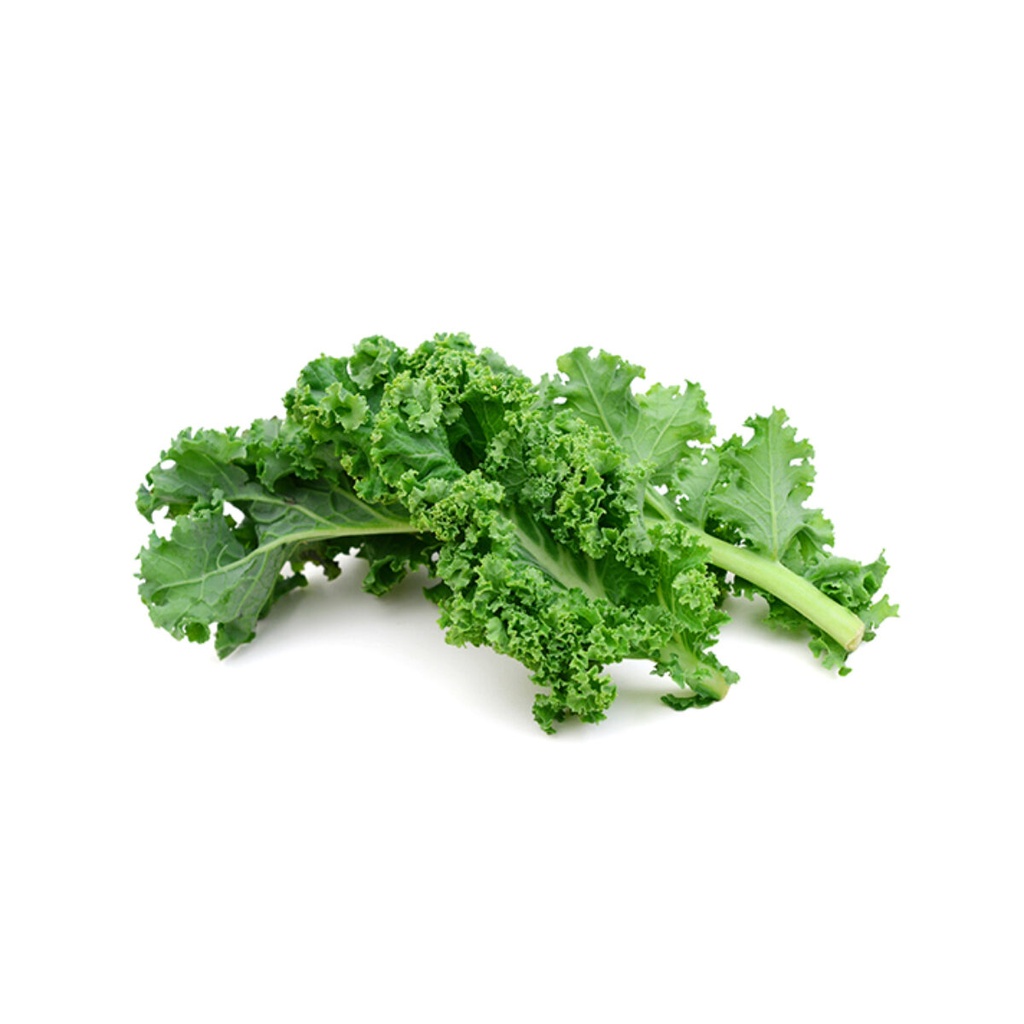 新鲜 羽衣甘蓝 1kg | Fresh Curley Kale 1kg