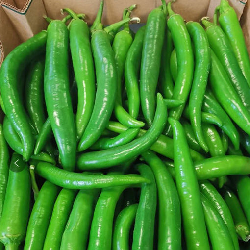 Discount Fresh Green Pepper cat 2 3kg/ctn | 新鲜 二级青尖椒 3kg/ctn 