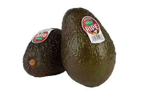 新鲜 Halls Ripe 牛油果 (HALLS box) 整箱 4kg | Fresh Halls Ripe AVOCADO (HALLS box) 4kg/CTN