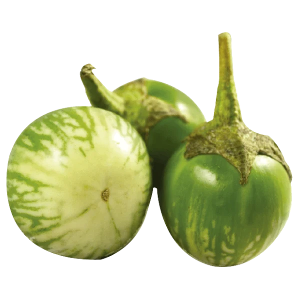 新鲜 泰国 果茄 200g/包 | Fresh Thailand Round Eggplant 200g/PKT